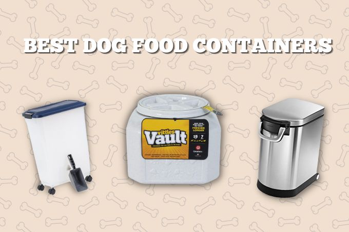 Best dog food containers