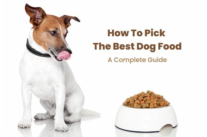 How To Pick The Best Dog Food – A Complete Guide