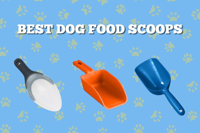 Best dog food scoops
