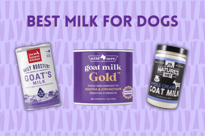 Best milk for dogs