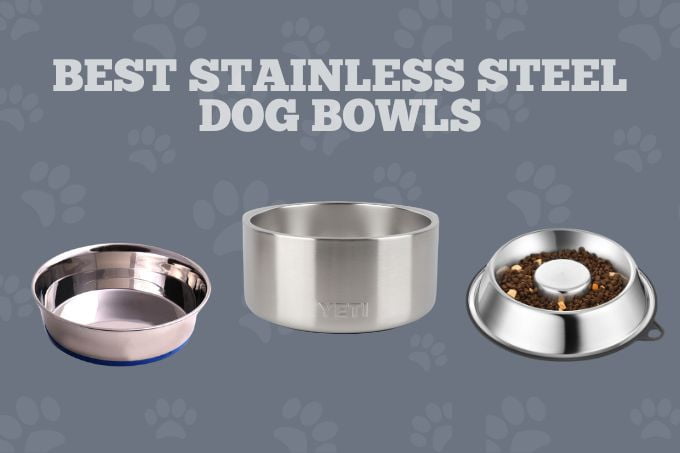 Best stainless steel dog bowls