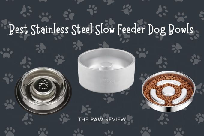 Best stainless steel slow feeder dog bowls