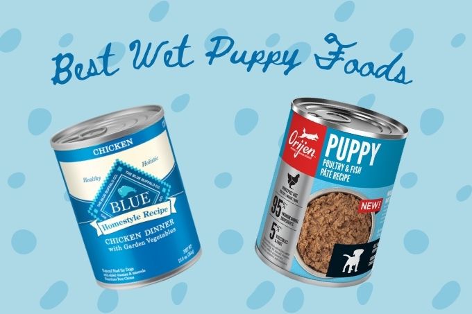 Best wet puppy foods