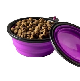 Collapsible dog bowl 3