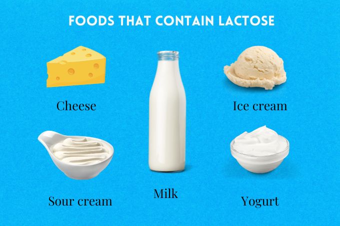 Foods that contain lactose