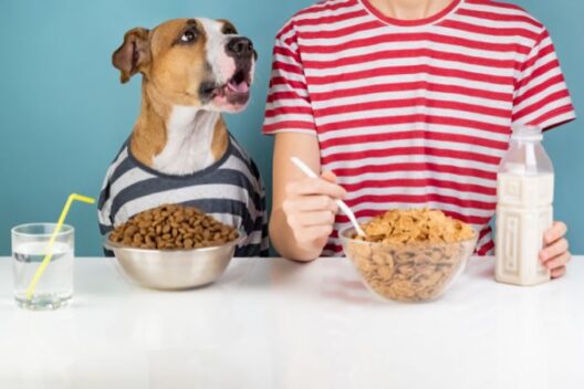 Grain-free dog food