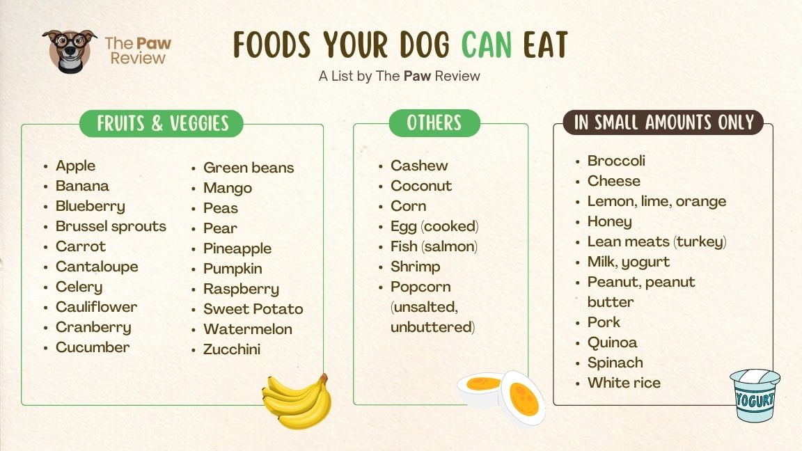 Fruits & veggies that are safe for dogs