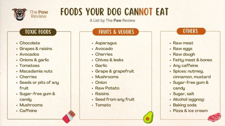 List of food dogs should NOT eat
