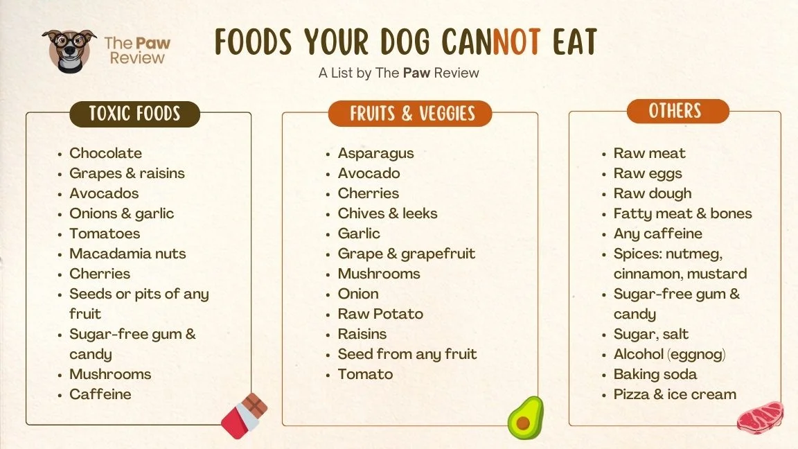 List of foods on sale dogs should not eat