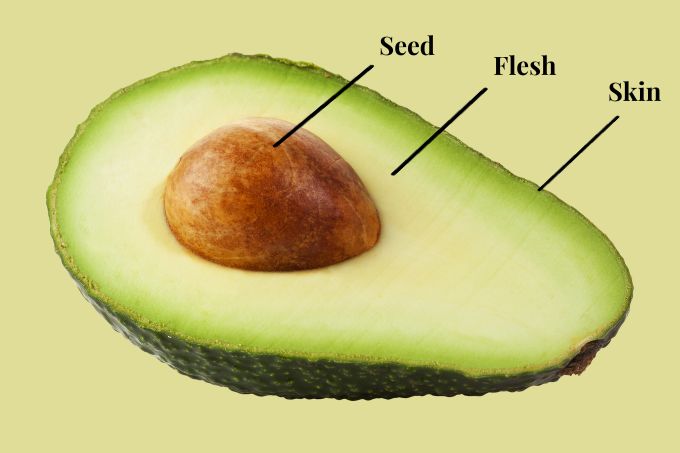 Parts of an avocado