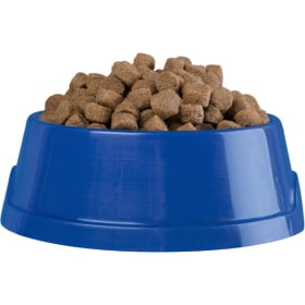 Plastic dog bowl 2